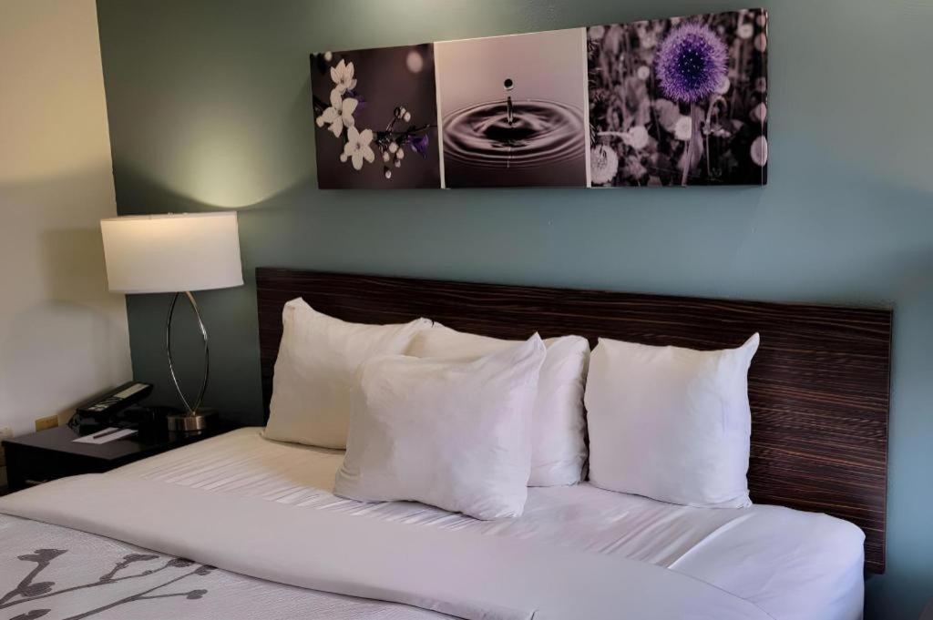 Sleep Inn Bessemer Helena Екстер'єр фото